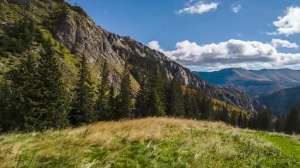 Retezat Nemzeti Park Pásztázza Időapszis Kárpátok Románia Közel Scorota Juhok — Stock videók