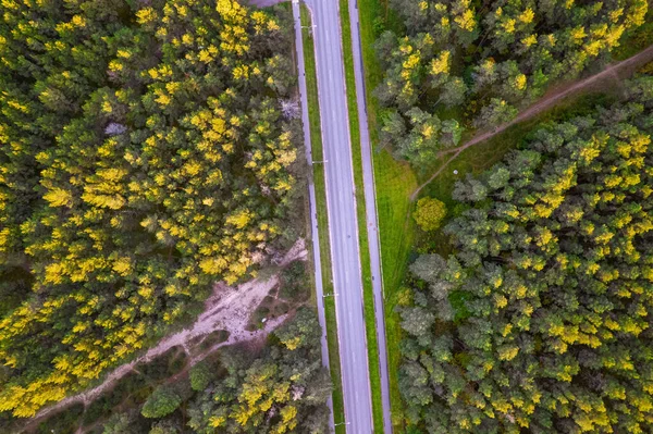 Aerial drone widok skrzyżowania wśród jesiennych kolorowych drzew — Zdjęcie stockowe