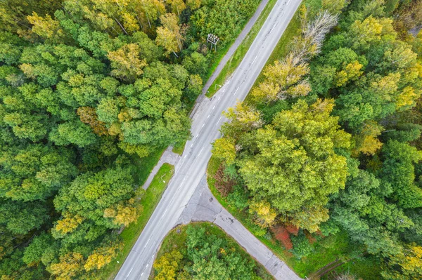 Sonbahar renkli ağaçlar arasındaki kavşağın hava aracı görüntüsü 