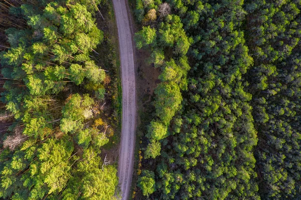 Drónkilátás az útra és az erdőre aranyidőben — Stock Fotó