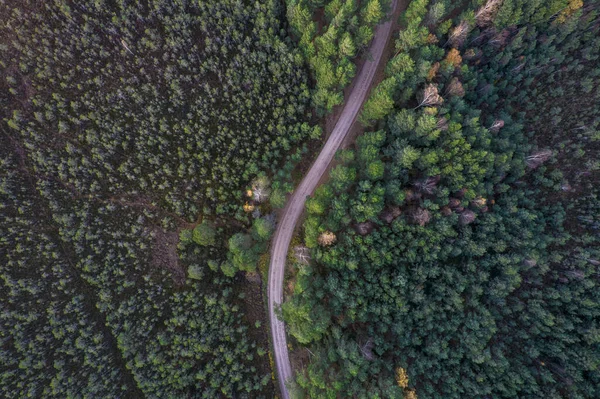 Вид с беспилотника на дорогу и лес в золотое время — стоковое фото
