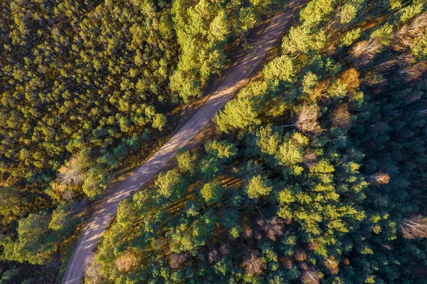 Drone vista de la carretera y el bosque en tiempo de oro —  Fotos de Stock