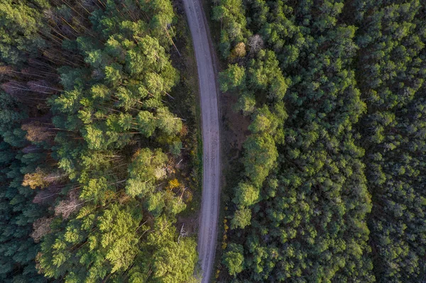 Drone vista da estrada e da floresta em tempo dourado — Fotografia de Stock