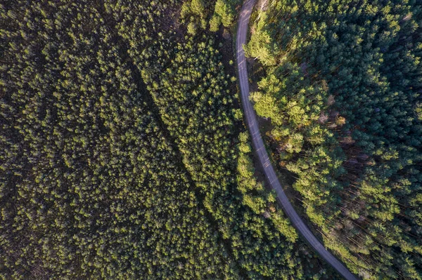 Drone widok drogi i lasu w złotym czasie — Zdjęcie stockowe