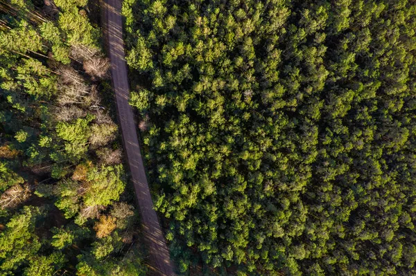 Drone vista de la carretera y el bosque en tiempo de oro —  Fotos de Stock