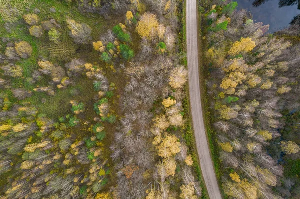 Drönare syn på väg och skog i gyllene tid — Stockfoto