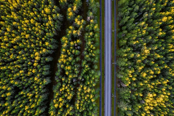 Drone vista da estrada e da floresta em tempo dourado — Fotografia de Stock