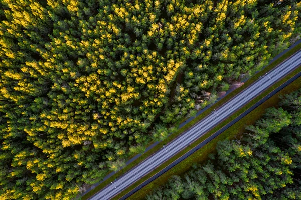 Drone vista de la carretera y el bosque en tiempo de oro —  Fotos de Stock