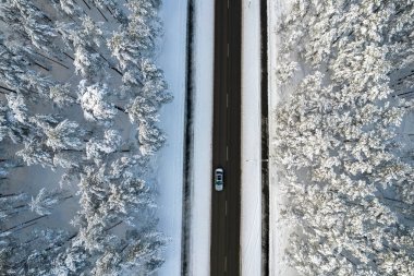 Dağlarda serin karlı kara yol ve ağaçlar