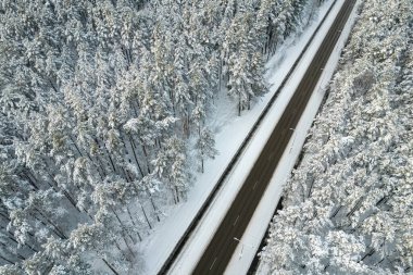 Dağlarda serin karlı kara yol ve ağaçlar