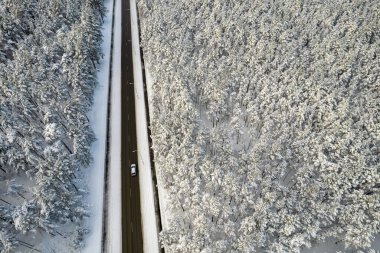Dağlarda serin karlı kara yol ve ağaçlar
