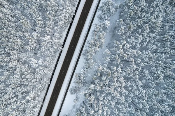 Μαύρος δρόμος και δέντρα με κρύο χιόνι στα βουνά — Φωτογραφία Αρχείου