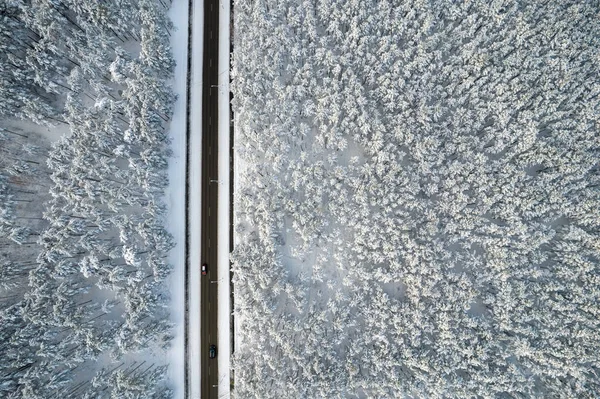 Svart väg och träd med kylig snö i bergen — Stockfoto