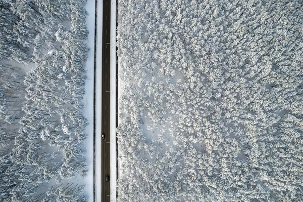 Estrada preta e árvores com neve fria nas montanhas — Fotografia de Stock