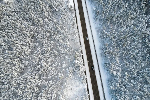 Estrada preta e árvores com neve fria nas montanhas — Fotografia de Stock