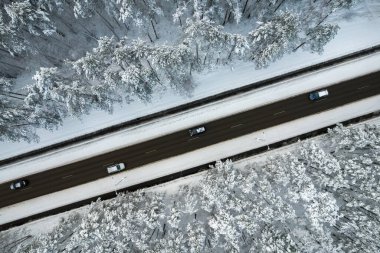Dağlarda serin karlı kara yol ve ağaçlar