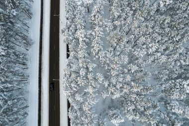 Dağlarda serin karlı kara yol ve ağaçlar