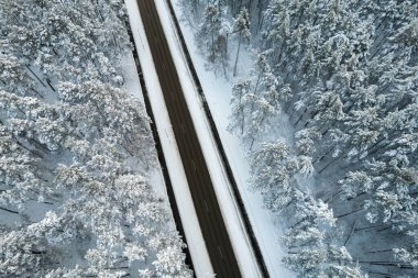 Dağlarda serin karlı kara yol ve ağaçlar