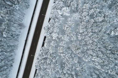 Dağlarda serin karlı kara yol ve ağaçlar