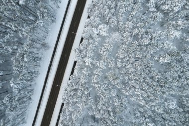 Dağlarda serin karlı kara yol ve ağaçlar