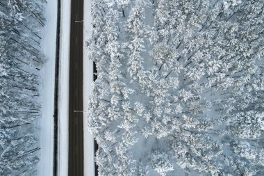 Dağlarda serin karlı kara yol ve ağaçlar