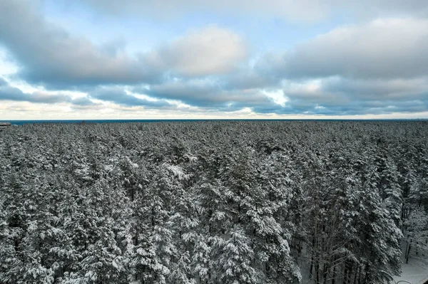 Czarna droga i drzewa z chłodnym śniegiem w górach — Zdjęcie stockowe