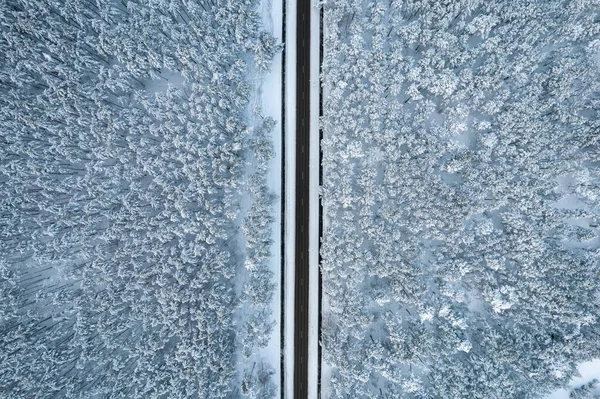 Strada nera e alberi con neve fredda in montagna — Foto Stock