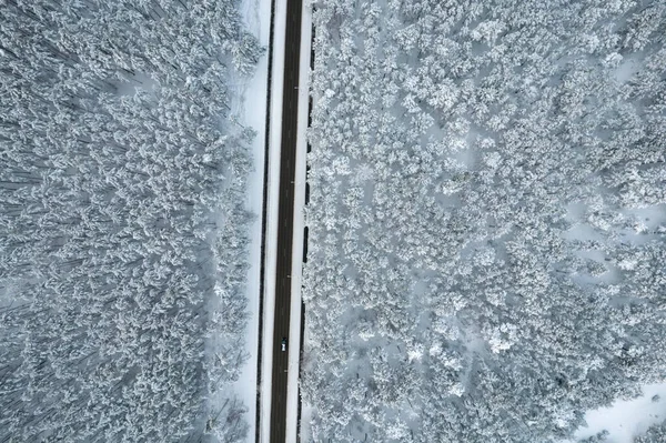 Strada nera e alberi con neve fredda in montagna — Foto Stock