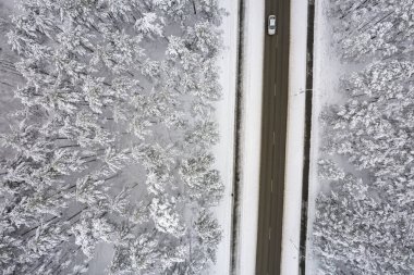Dağlarda serin karlı kara yol ve ağaçlar