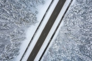 Dağlarda serin karlı kara yol ve ağaçlar