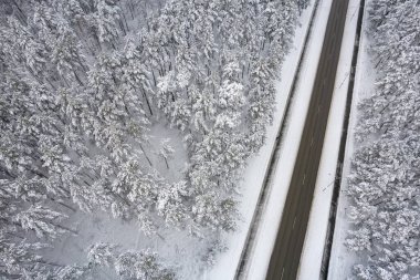 Dağlarda serin karlı kara yol ve ağaçlar