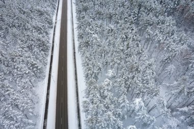 Dağlarda serin karlı kara yol ve ağaçlar