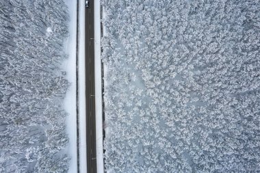 Dağlarda serin karlı kara yol ve ağaçlar