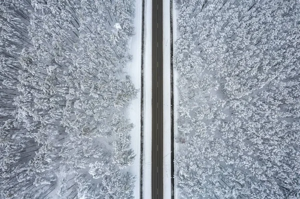 Dağlarda serin karlı kara yol ve ağaçlar — Stok fotoğraf