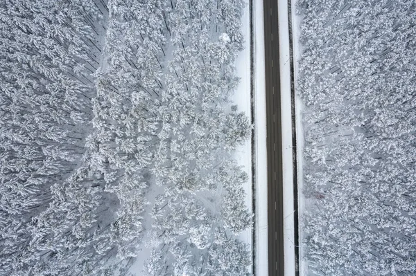 Strada nera e alberi con neve fredda in montagna — Foto Stock