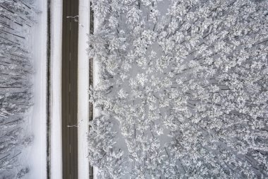 Dağlarda serin karlı kara yol ve ağaçlar