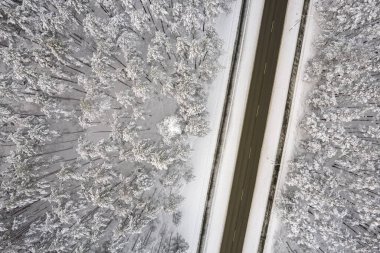 Dağlarda serin karlı kara yol ve ağaçlar