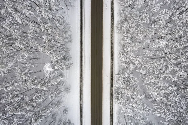 검은 길 과산에 차가운 눈이 내리는 나무들 — 스톡 사진