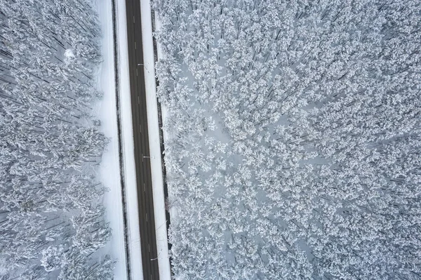 Черная дорога и деревья с холодным снегом в горах — стоковое фото