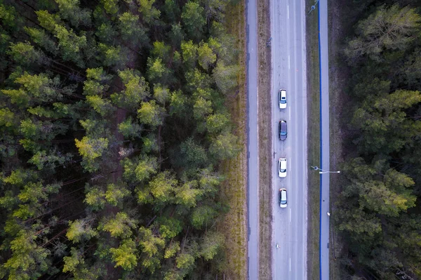Bahar yoğun ormanları ve sarı yeşil renkli koruluklardan geçen beton yol dronundan hava manzarası. Altın çağda ağaçlar ve ilkbaharda boş otoyol. Renkli ağaçların arasındaki yol