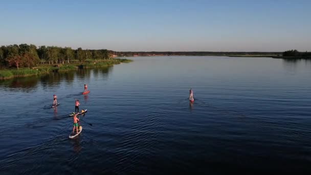 Повітряний Вид Людей Які Їздять Stand Paddle Або Sup Board — стокове відео