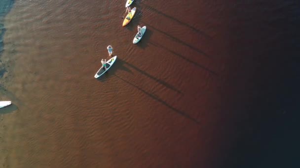 Gün Batımında Stand Paddle Veya Nehirde Sup Sörf Yapan Insanların — Stok video
