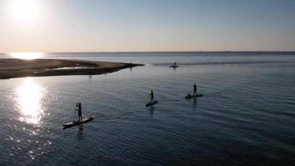 Luftaufnahme Von Menschen Die Auf Stand Paddle Oder Sup Board — Stockvideo