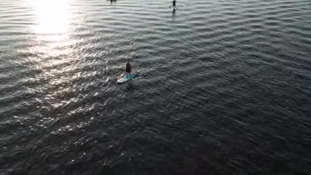 Aerial View People Riding Stand Paddle Sup Board River Sunset — Stockvideo