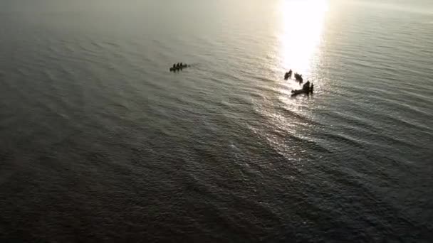 Вид Повітряний Безпілотник Групи Людей Катаються Байдарках Річці Заході Сонця — стокове відео