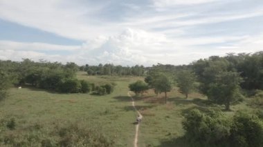 Ağaç tarlasında motosiklete binen bir adamın üzerinden uç.