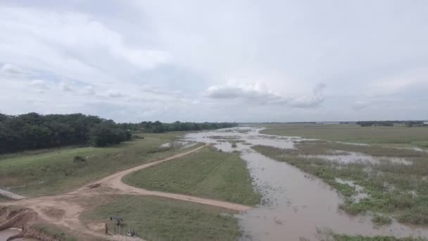 モンスーンの間 氾濫したフィールド上の小さな竹の橋の無人偵察機のショットを後退 — ストック動画