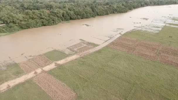 Drone Luchtfoto Boven Landbouwvelden Worden Overstroomd Door Overstromingen Van Mekong — Stockvideo