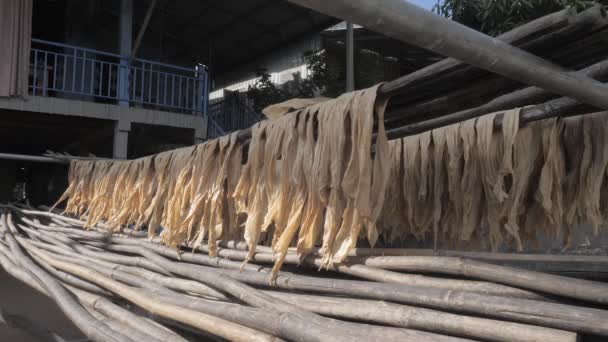 Güneşin Altında Kızarana Kadar Bambu Çubuklarıyla Cilt Tofusu Yakın — Stok video