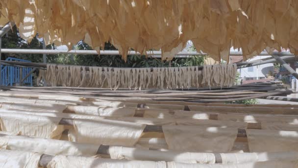 Güneşin Altında Kızarana Kadar Bambu Çubuklarıyla Cilt Tofusu Yakın — Stok video